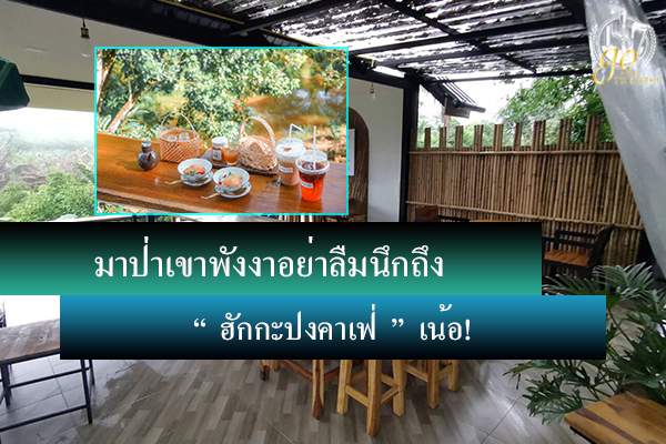 ป่าเขาพังงา อย่าลืมนึกถึง “ฮักกะปงคาเฟ่”เน้อ!