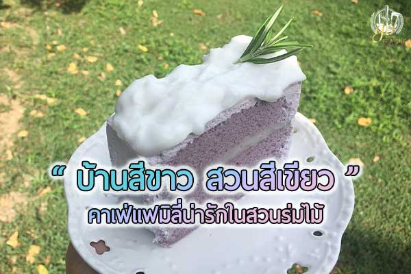 แนะนำคาเฟ่แฟมิลี่น่ารัก “บ้านสีขาวสวนสีเขียว”