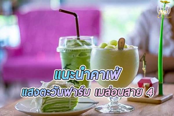ร้าน แสงตะวันฟาร์ม เมล่อนสาย 4 คาเฟ่ลอยบ่อคาร์ฟสุดเนเจอรัล