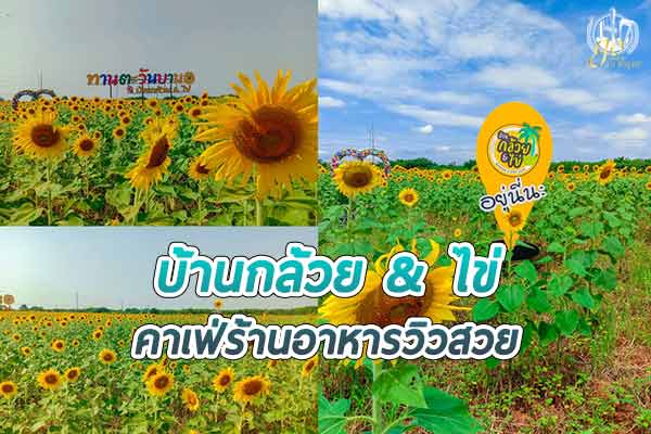 แนะนำ คาเฟ่ร้านอาหาร “บ้านกล้วย & ไข่”