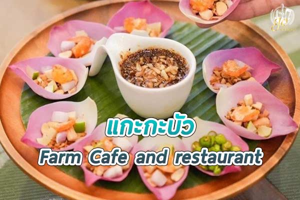 ร้านแกะกะบัว คาเฟ่ในฟาร์มแกะบรรยากาศริมสระบัว
