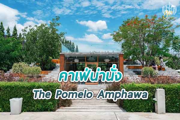 ร้าน The Pomelo Amphawa คาเฟ่สวยในสวนผลไม้