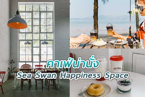 พักผ่อนริมทะเลระนอง ลองมาเช็กอิน ร้าน Sea Swan Happiness Space
