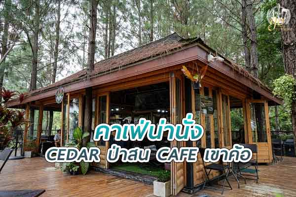ร้าน CEDAR ป่าสน CAFE เขาค้อ คาเฟ่สวยท่ามกลางป่าสน