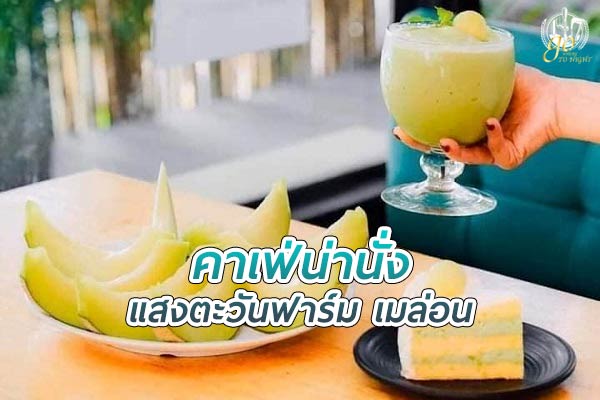 แสงตะวันฟาร์ม เมล่อน คาเฟ่สุดร่มรื่นในสวนเมล่อน