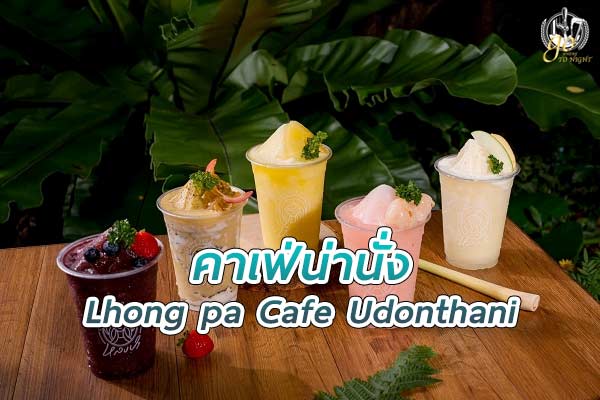 ร้านหลงป่า คาเฟ่ ชวนคุณไปหลงป่าในตัวเมือง