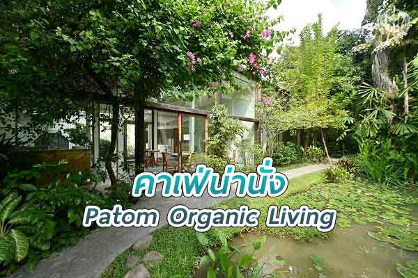 ร้าน Patom คาเฟ่ออร์แกนิกใจกลางเมือง