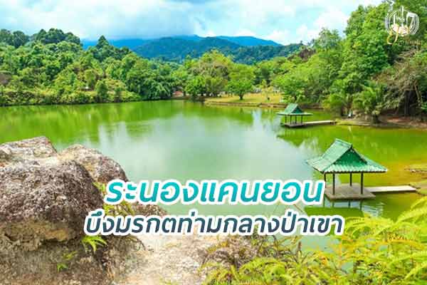 ระนองแคนยอน บึงมรกตท่ามกลางป่าเขาลำเนาไพร
