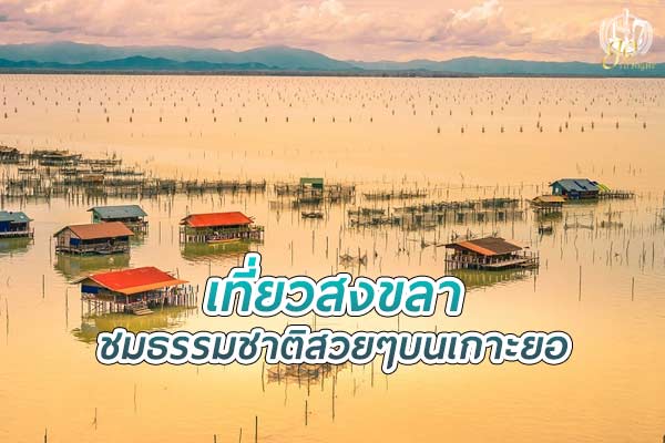 เที่ยวสงขลา ชมธรรมชาติสวยๆบน เกาะยอ