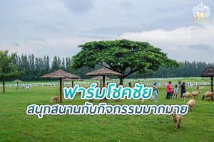 เที่ยว ฟาร์มโชคชัย สนุกสนานกับกิจกรรมมากมาย