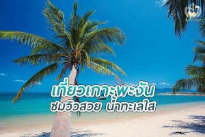 เที่ยว เกาะพะงัน ชมวิวสวยน้ำทะเลใส