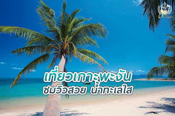 เที่ยว เกาะพะงัน ชมวิวสวยน้ำทะเลใส