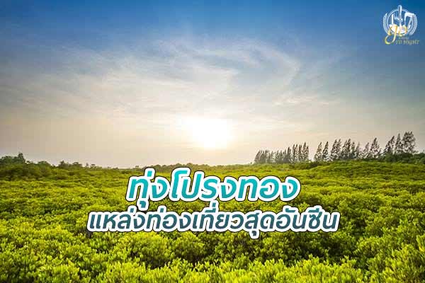 ทุ่งโปรงทอง แหล่งท่องเที่ยวสุดอันซีน ในระยอง